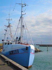 Kutter Strandby havn, sommer